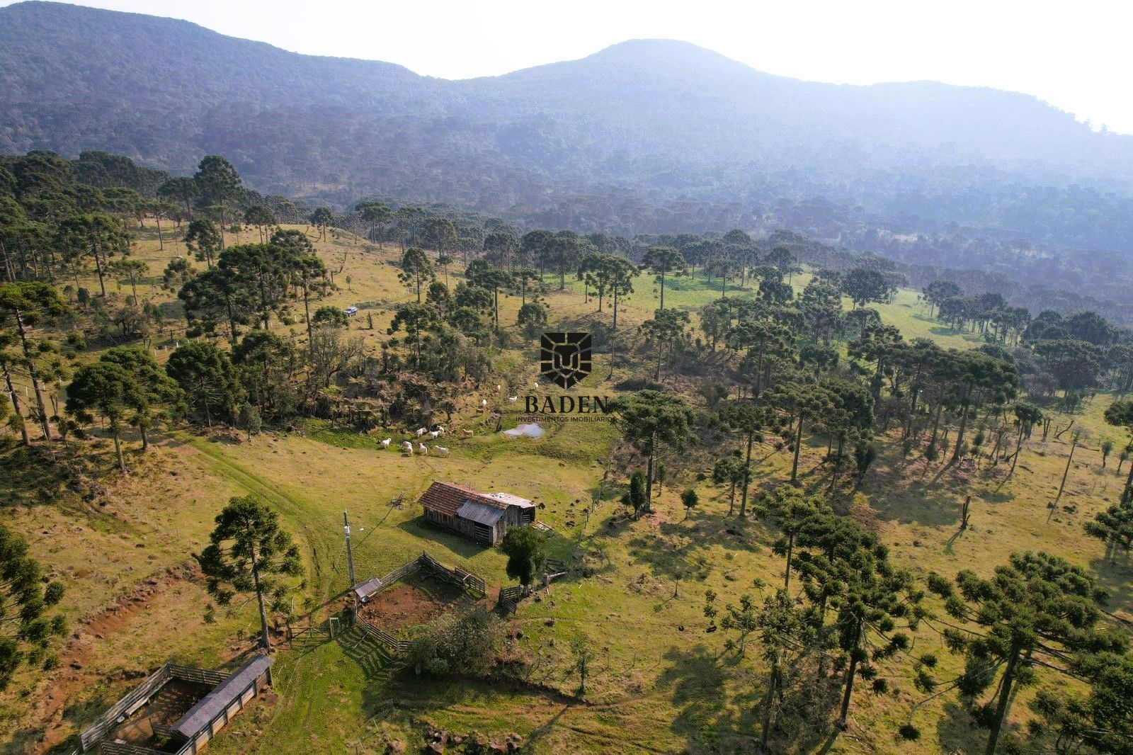 Loteamento e Condomínio à venda, 20000m² - Foto 20