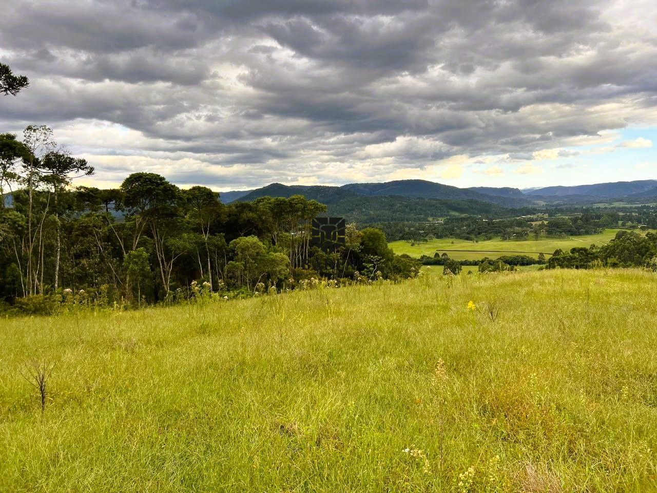 Terreno à venda, 20000m² - Foto 7