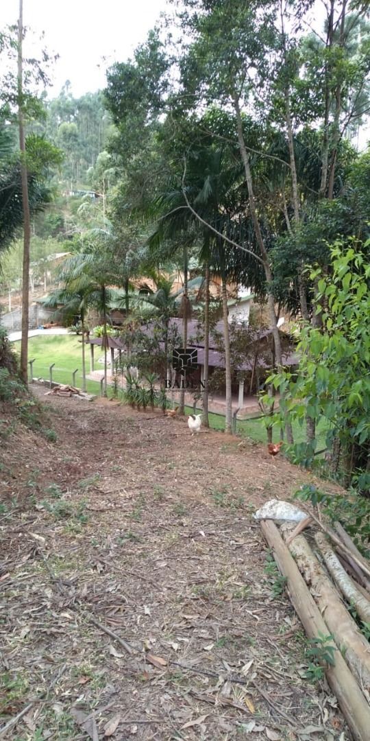 Fazenda à venda com 3 quartos, 26700m² - Foto 8