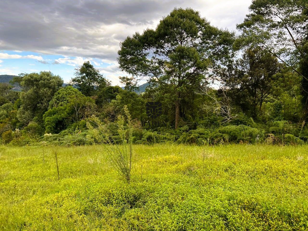 Terreno à venda, 20000m² - Foto 10