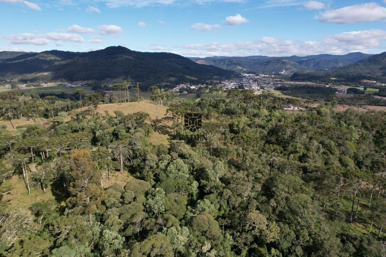 Fazenda à venda com 2 quartos, 3m² - Foto 39