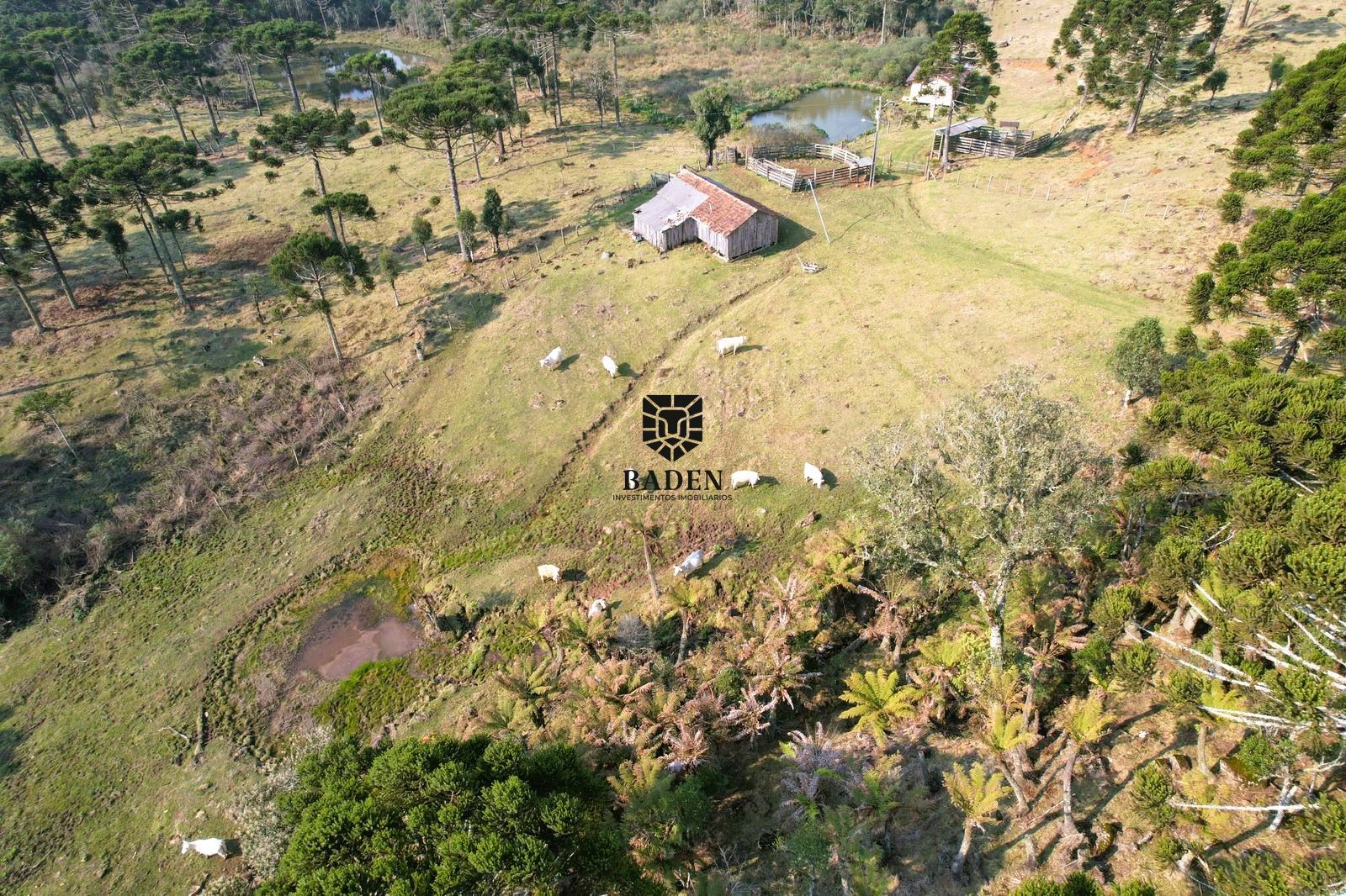 Loteamento e Condomínio à venda, 20000m² - Foto 13