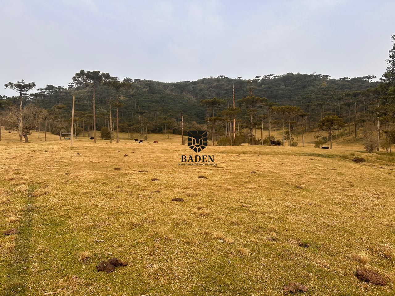 Terreno à venda, 20000m² - Foto 11