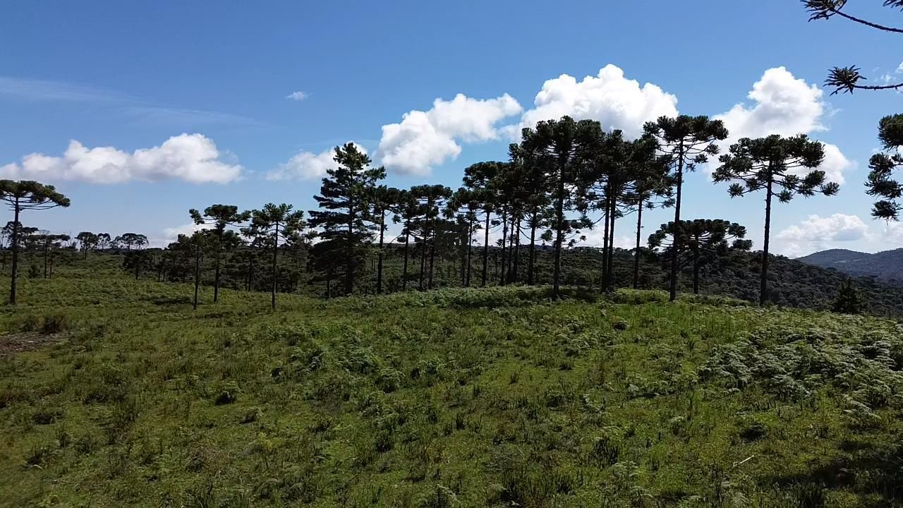 Loteamento e Condomínio à venda, 20000m² - Foto 15