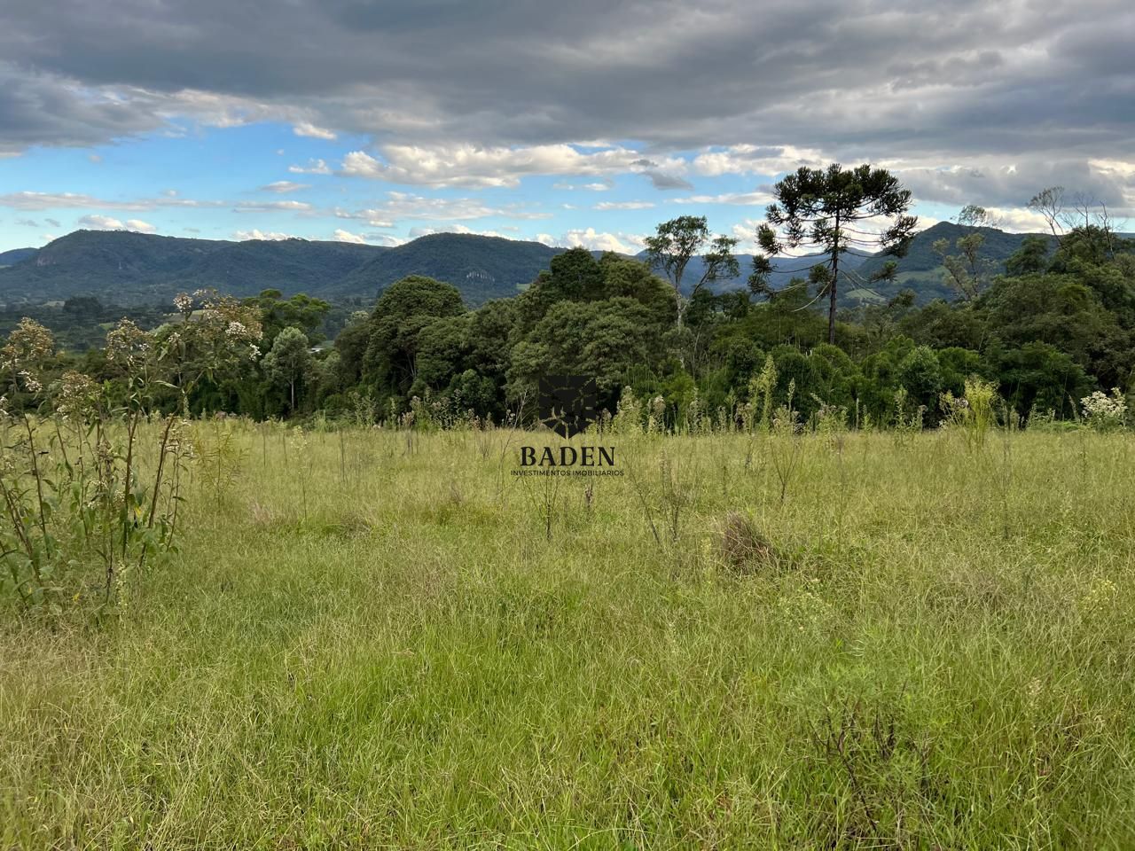 Terreno à venda, 20000m² - Foto 3