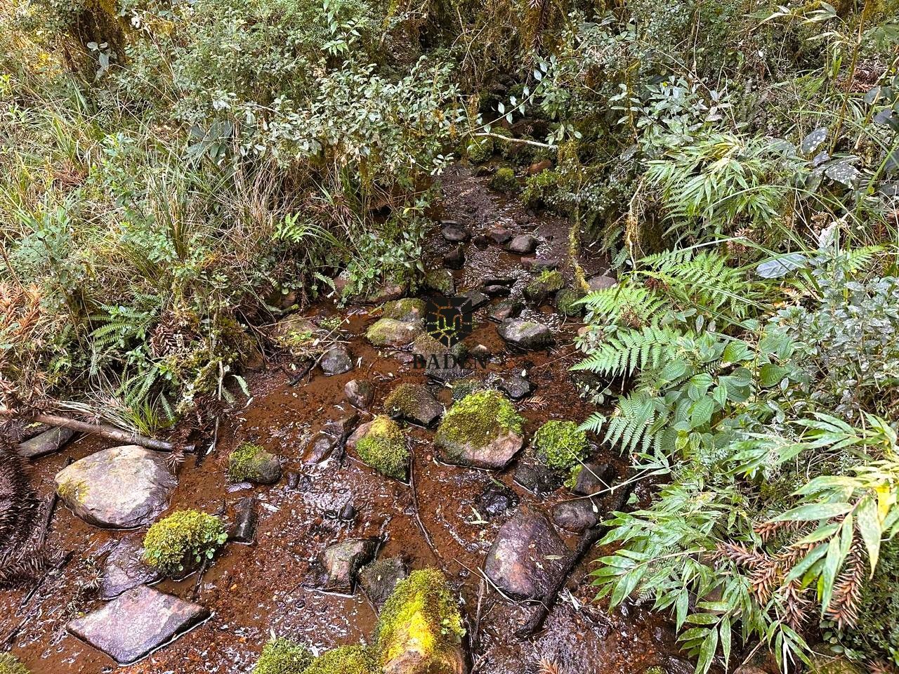 Loteamento e Condomínio à venda, 41000m² - Foto 10