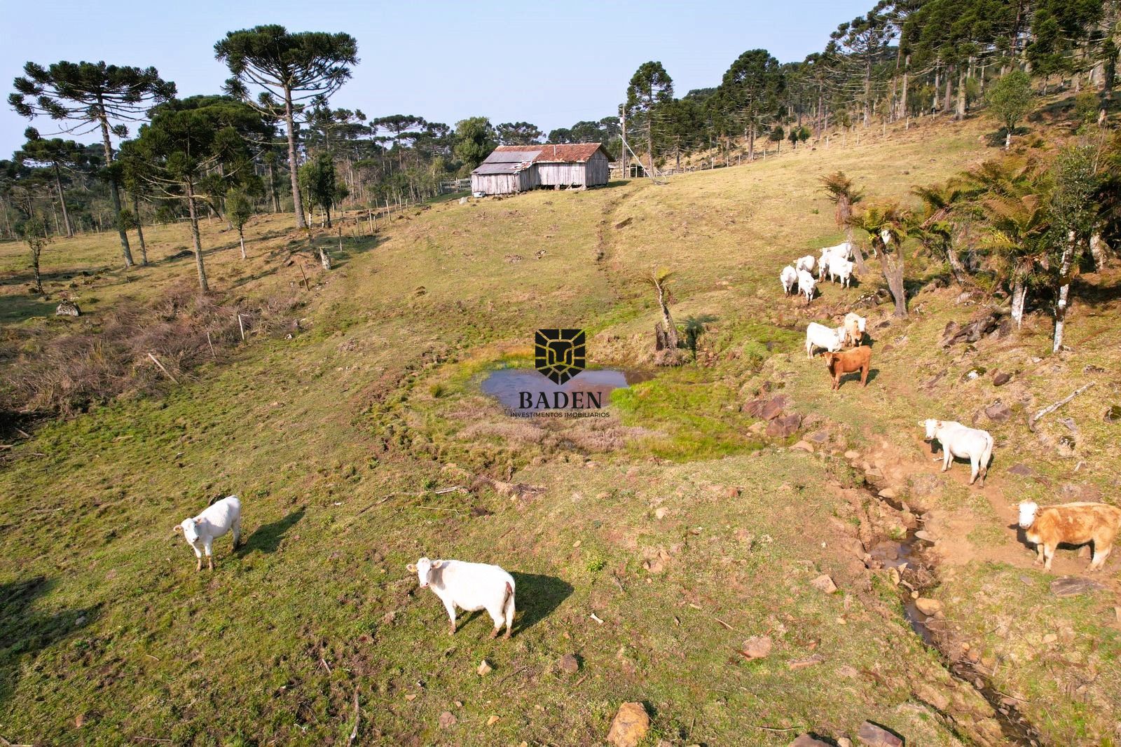 Loteamento e Condomínio à venda, 20000m² - Foto 2