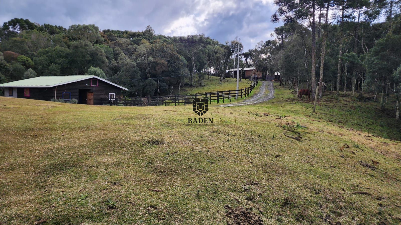 Fazenda à venda com 2 quartos, 100000m² - Foto 14