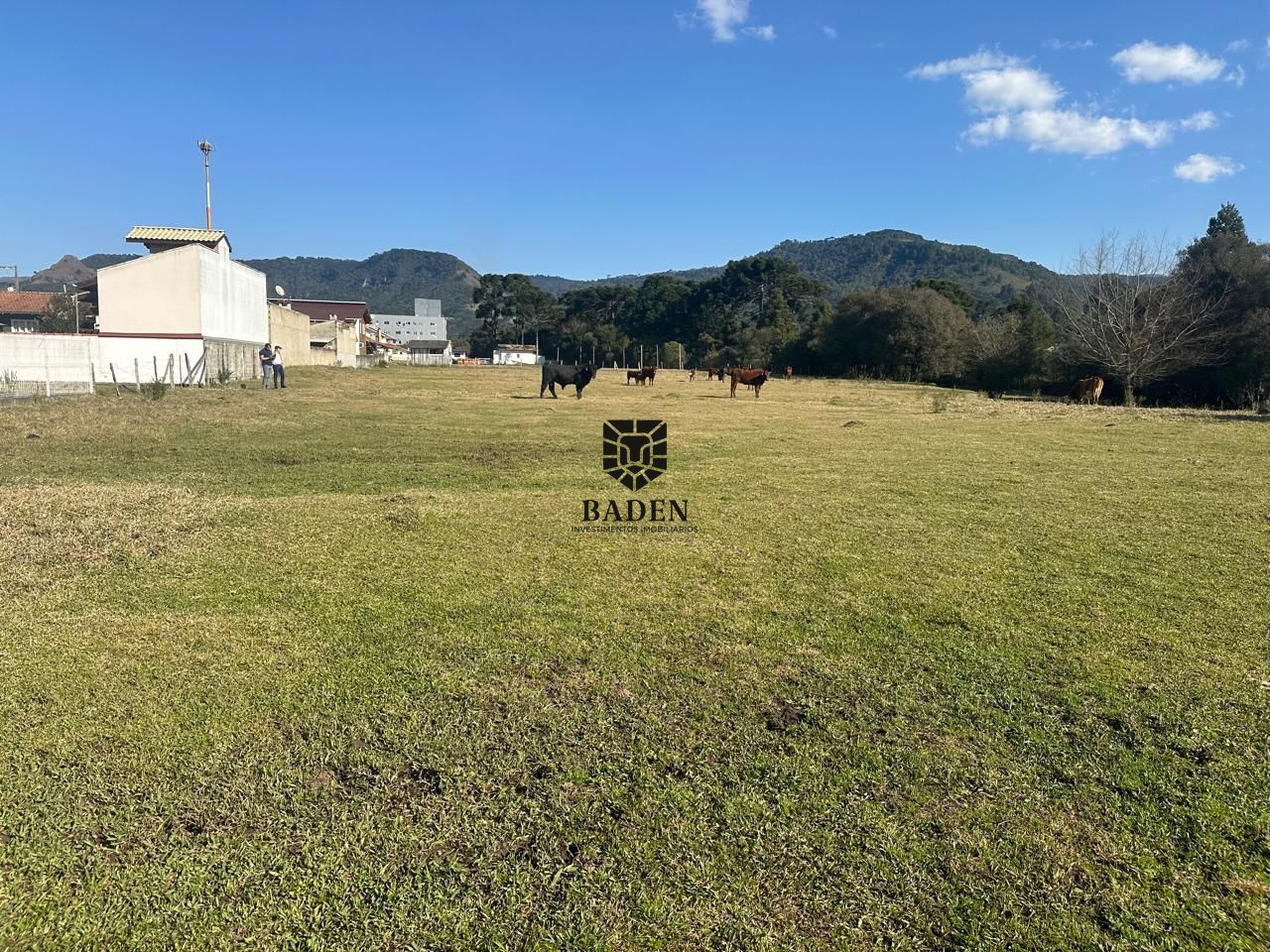 Terreno à venda, 7466m² - Foto 2