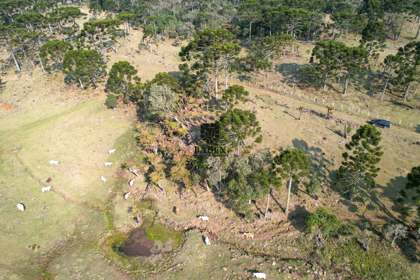 Loteamento e Condomínio à venda, 20000m² - Foto 8