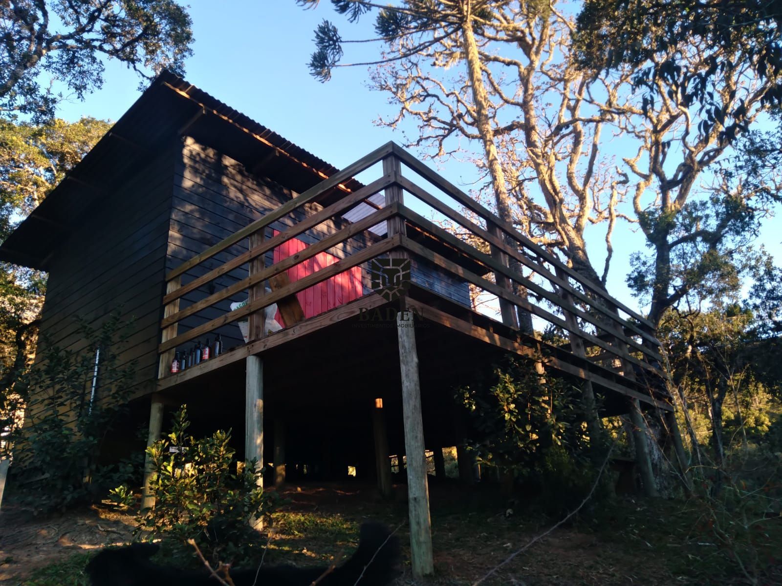 Fazenda à venda com 3 quartos, 5m² - Foto 4