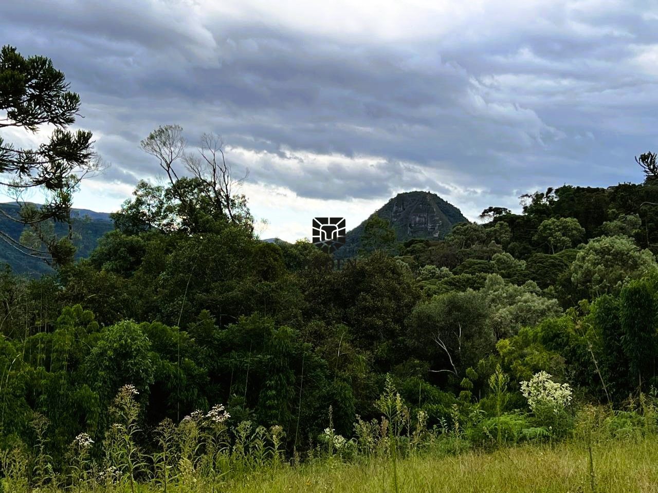 Terreno à venda, 20000m² - Foto 5