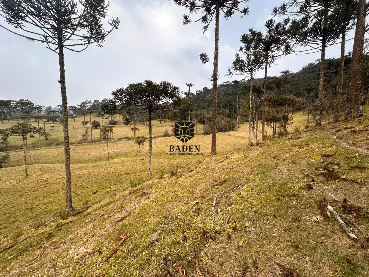 Terreno à venda, 300000m² - Foto 12