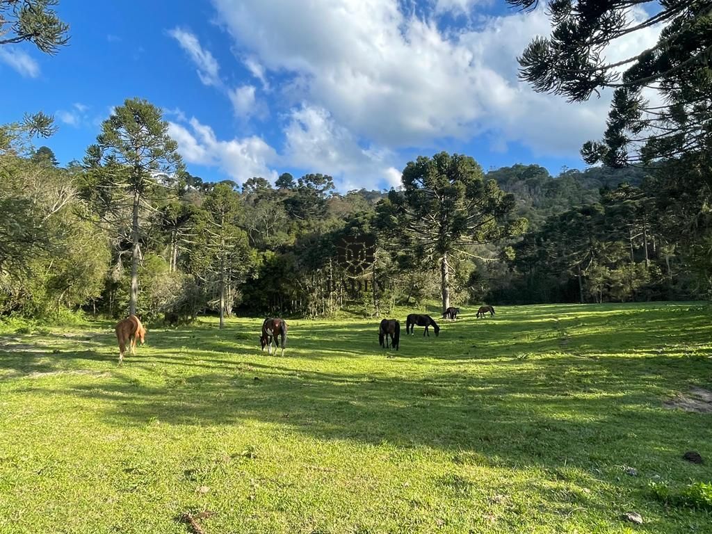 Loteamento e Condomínio à venda, 20000m² - Foto 2