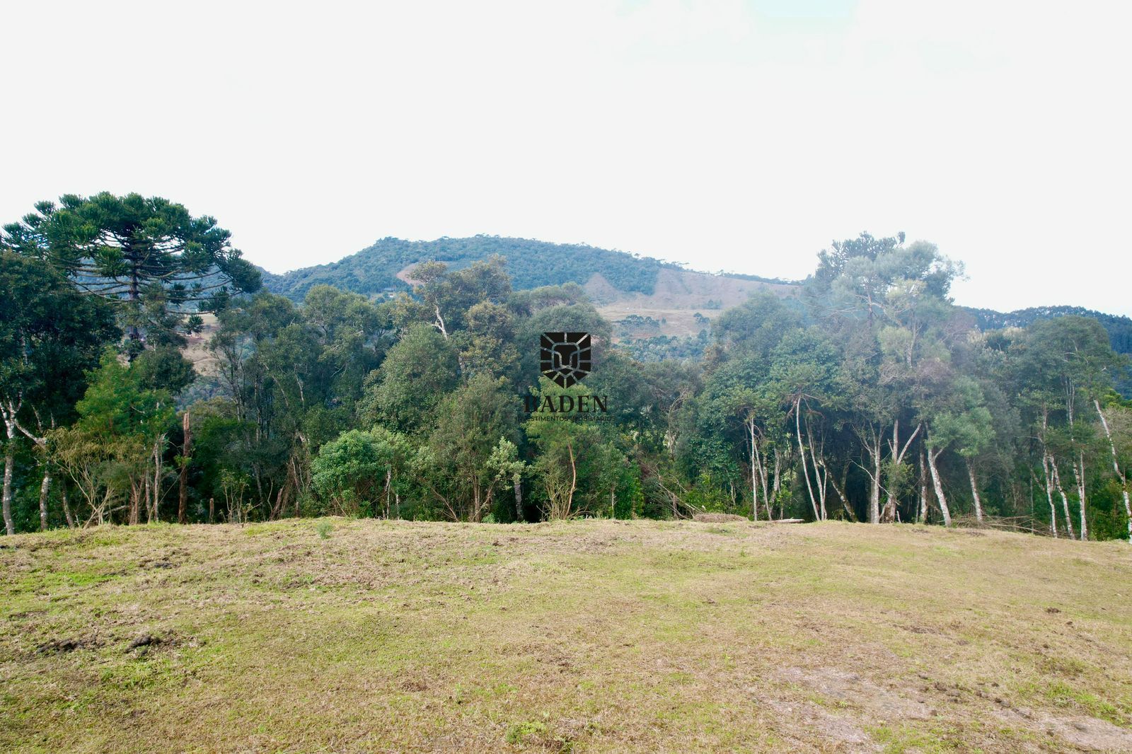 Fazenda à venda com 2 quartos, 100000m² - Foto 17