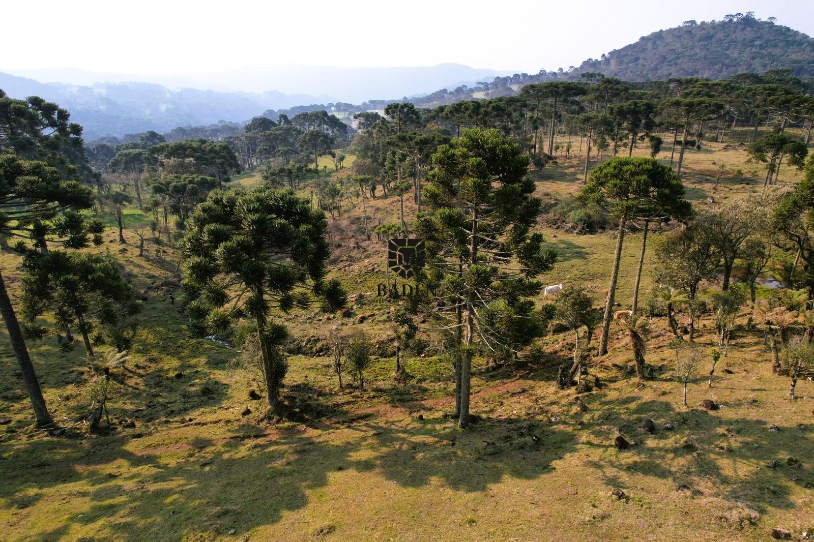 Loteamento e Condomínio à venda, 20000m² - Foto 6