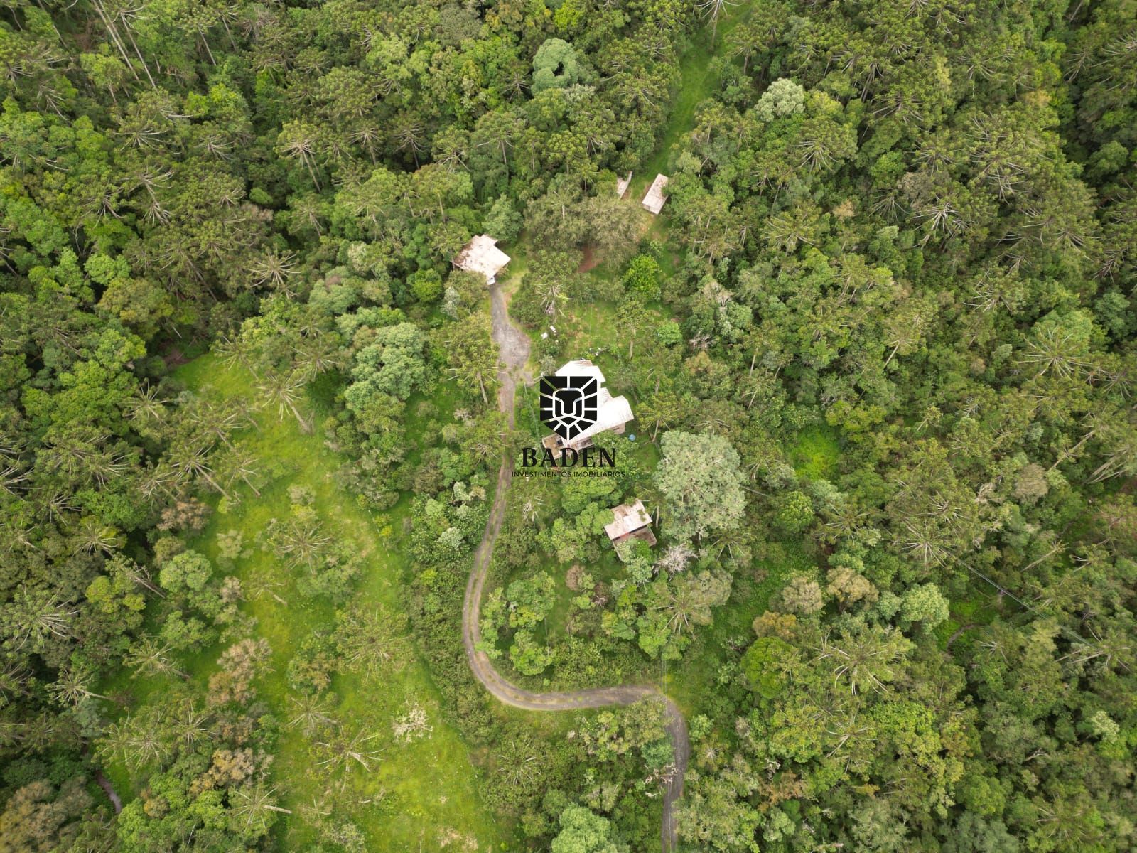 Fazenda à venda com 3 quartos, 5m² - Foto 6