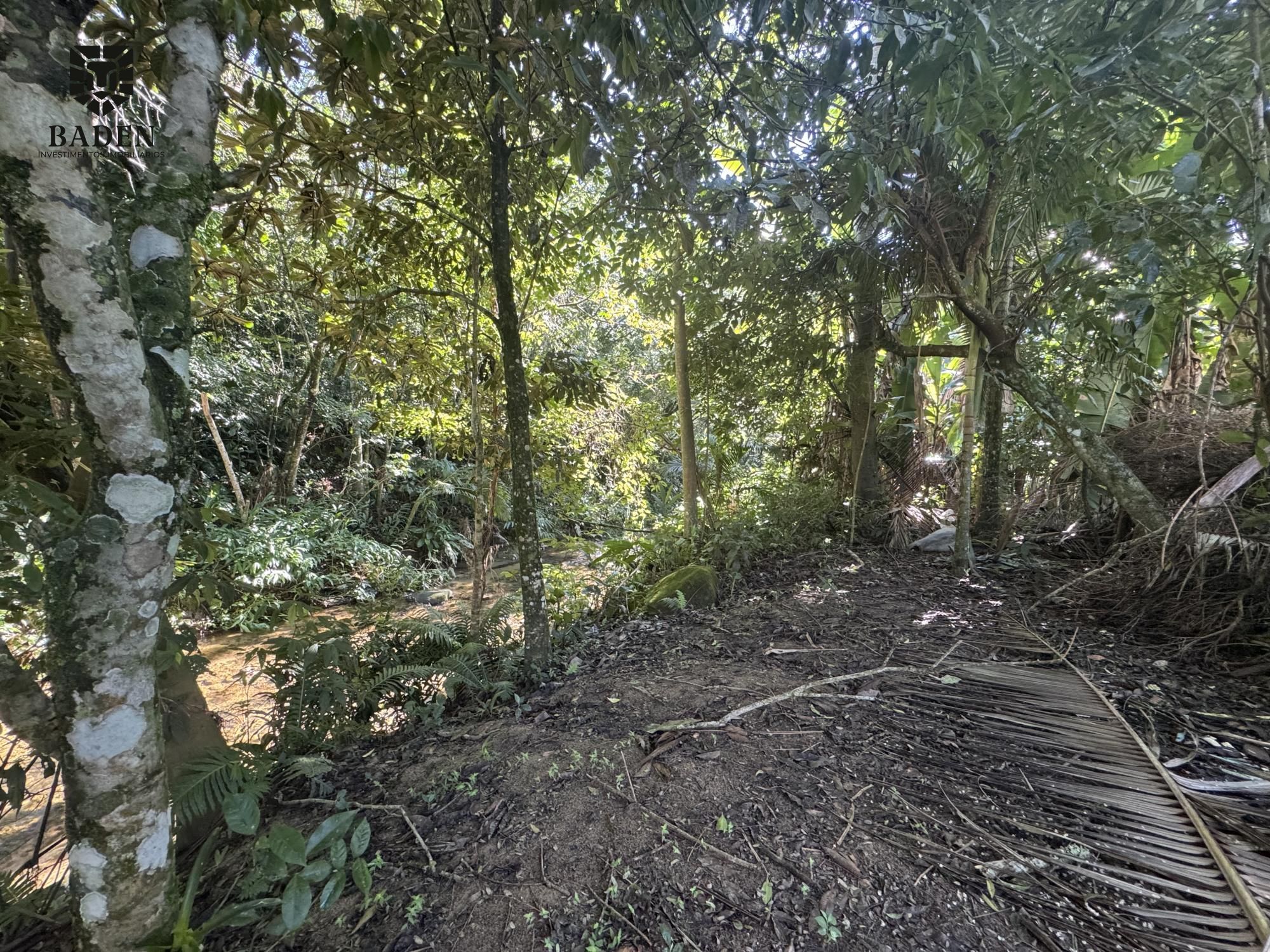 Chácara, 2 quartos, 2500 m² - Foto 32