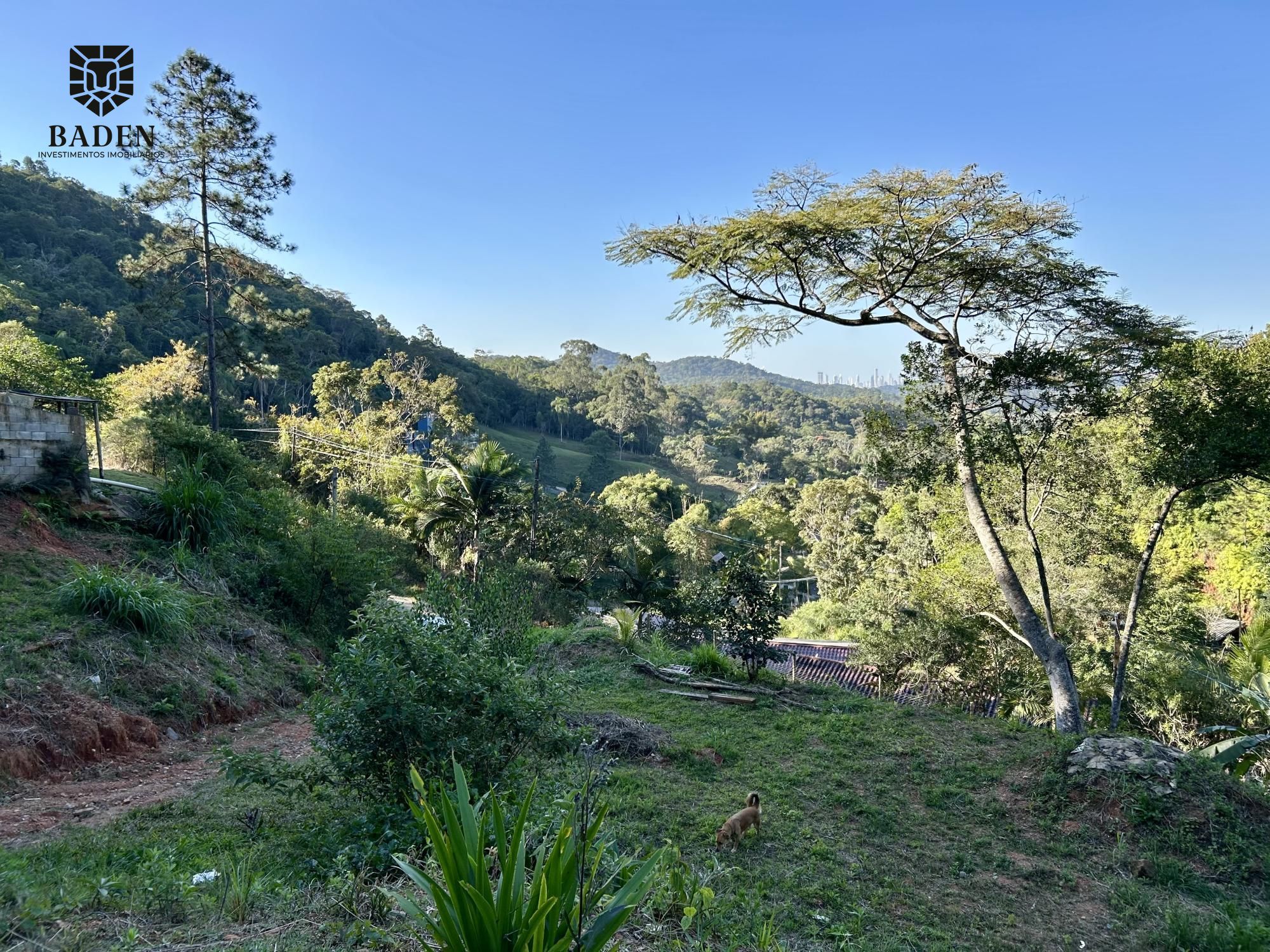 Casa, 2 quartos, 4500 m² - Foto 14