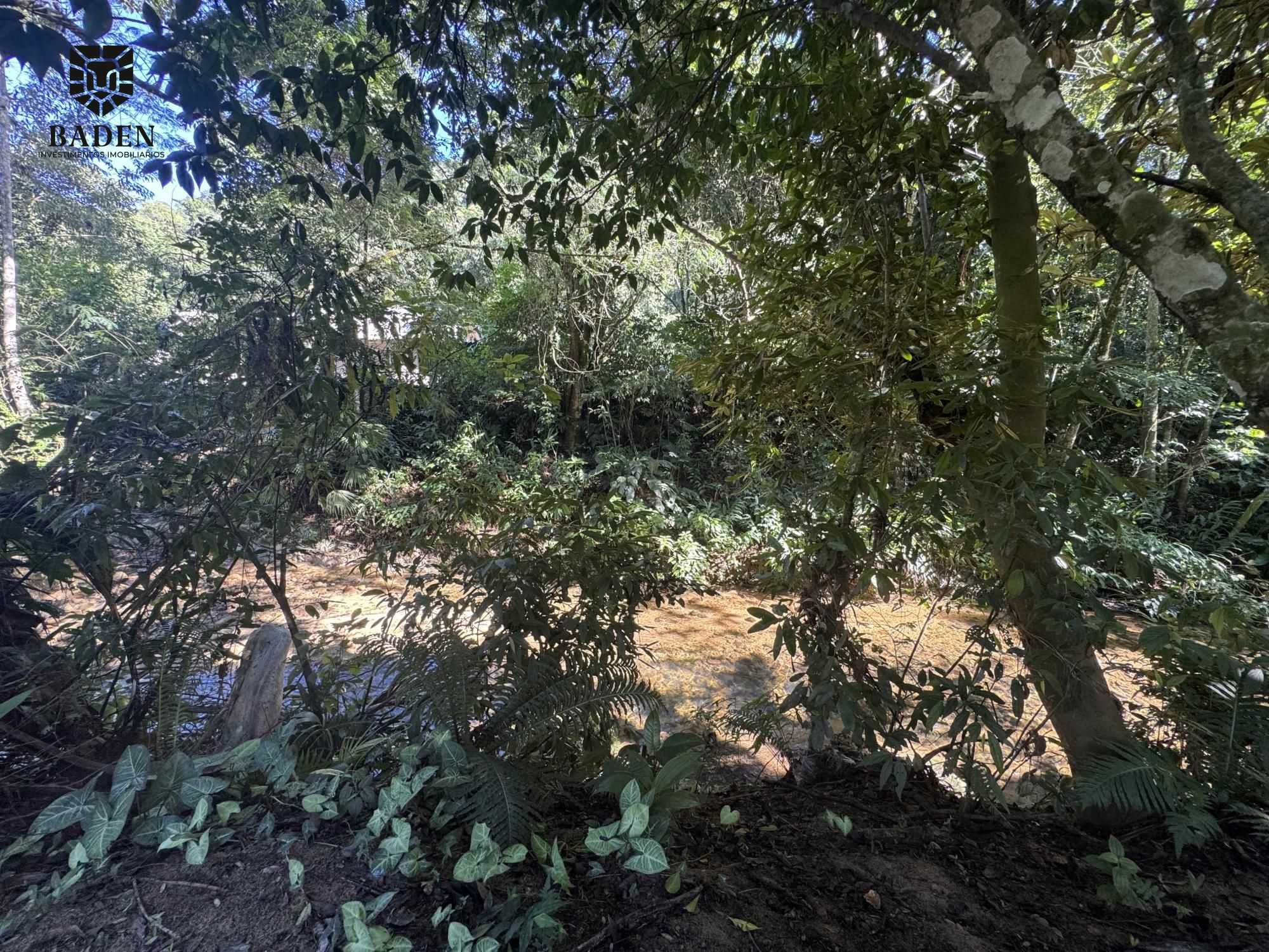 Chácara, 2 quartos, 2500 m² - Foto 33