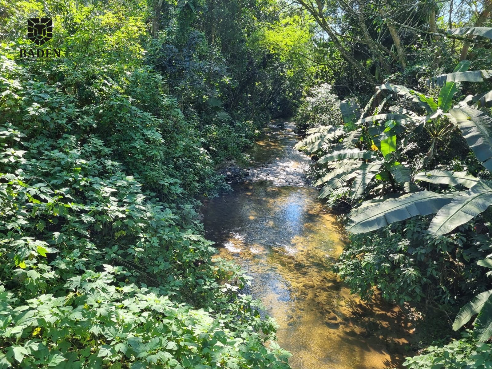 Chácara, 2 quartos, 2500 m² - Foto 21