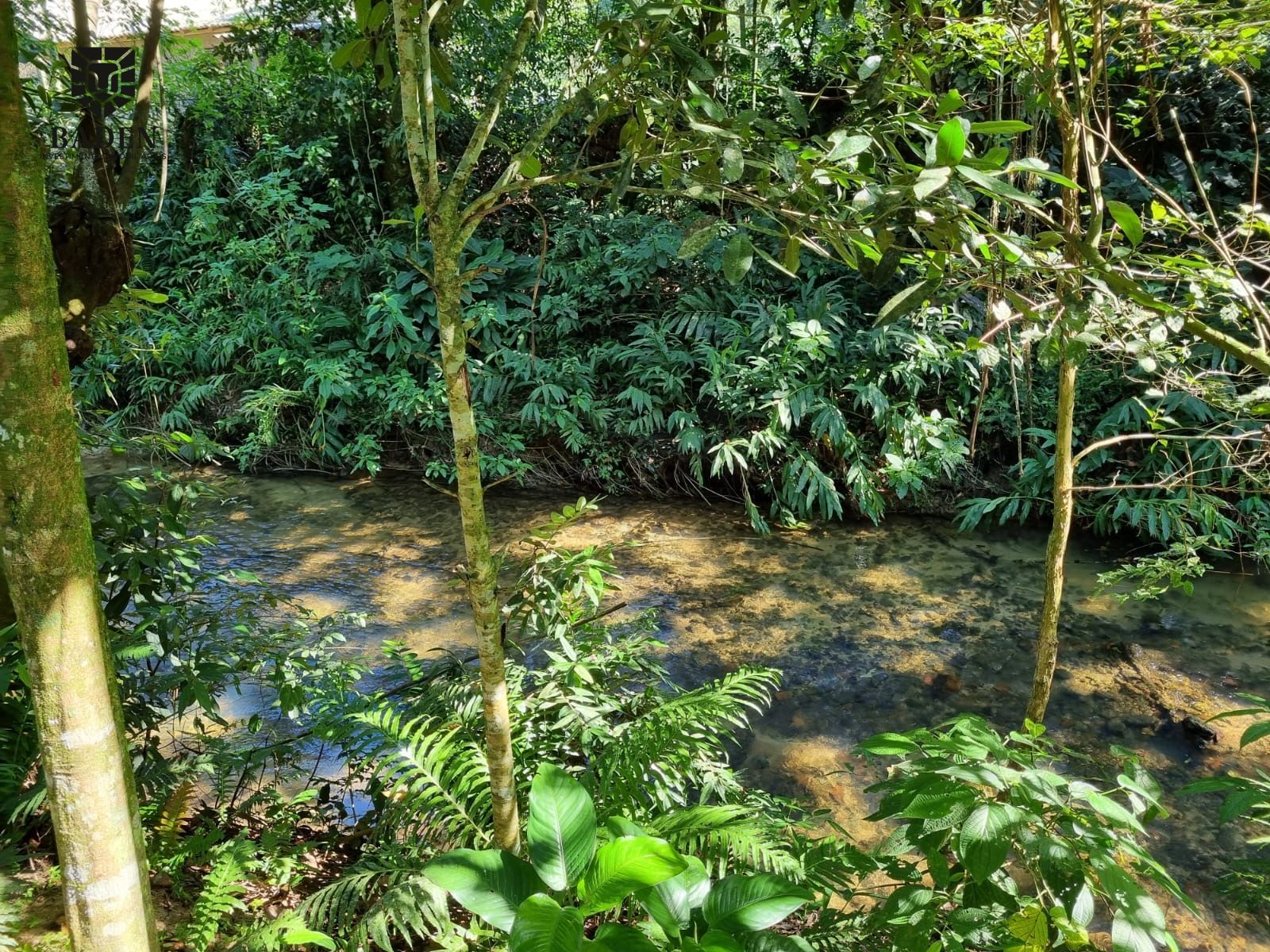 Chácara, 2 quartos, 2500 m² - Foto 22