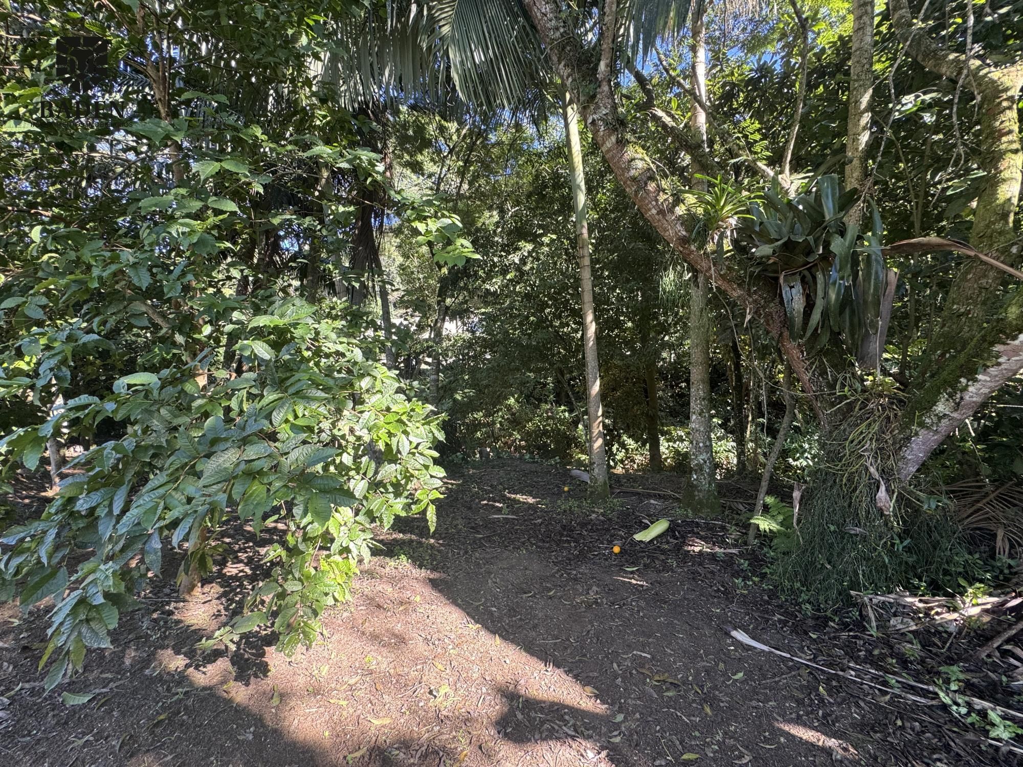 Chácara, 2 quartos, 2500 m² - Foto 31