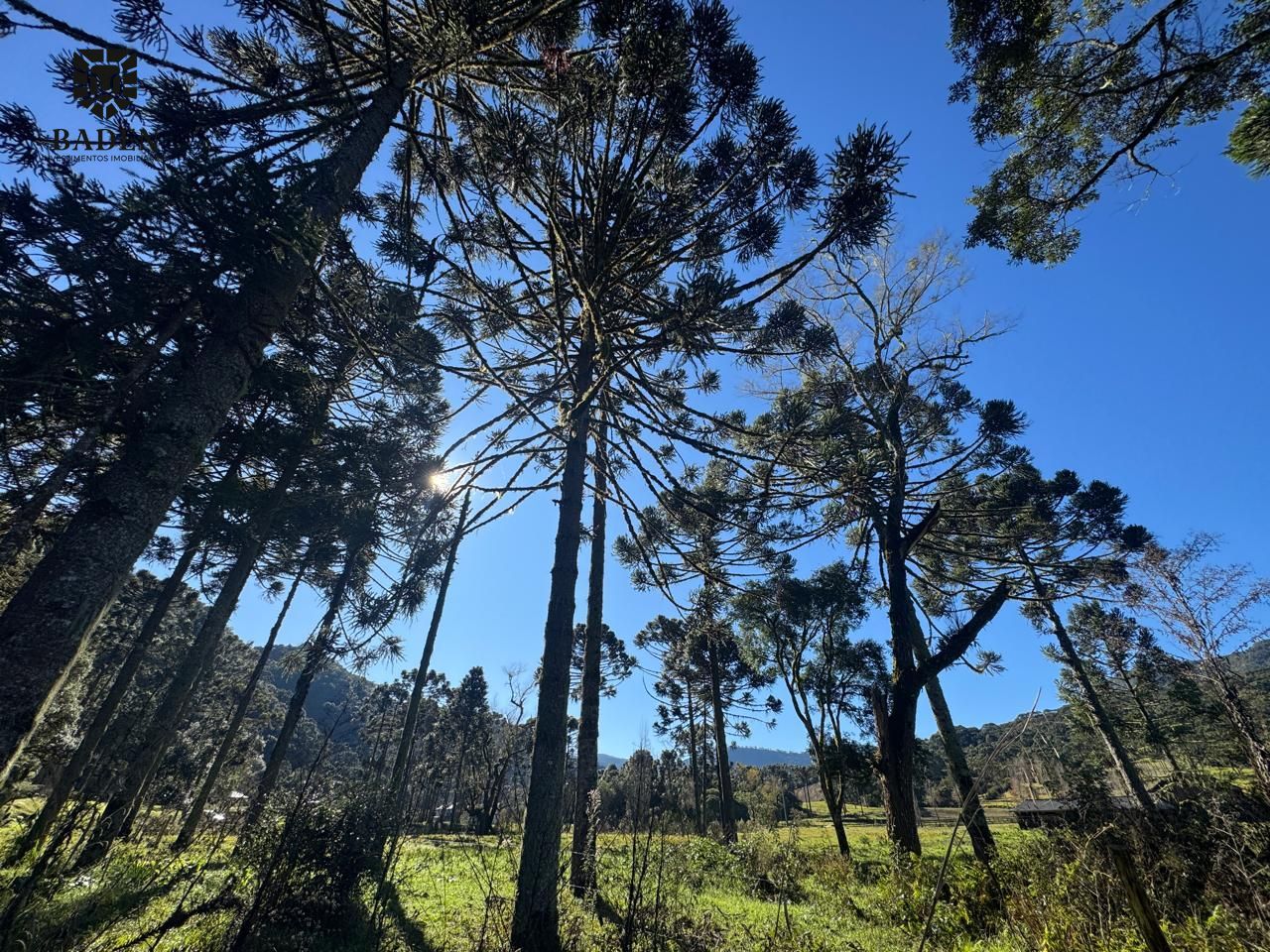 Terreno à venda, 750m² - Foto 14