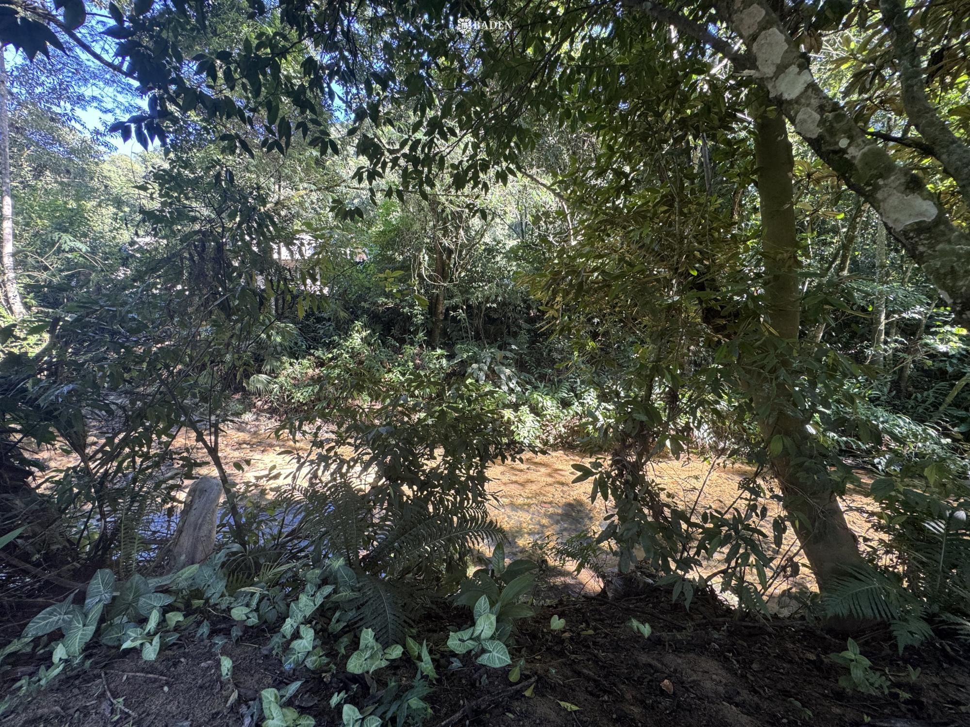 Chácara, 2 quartos, 2500 m² - Foto 33