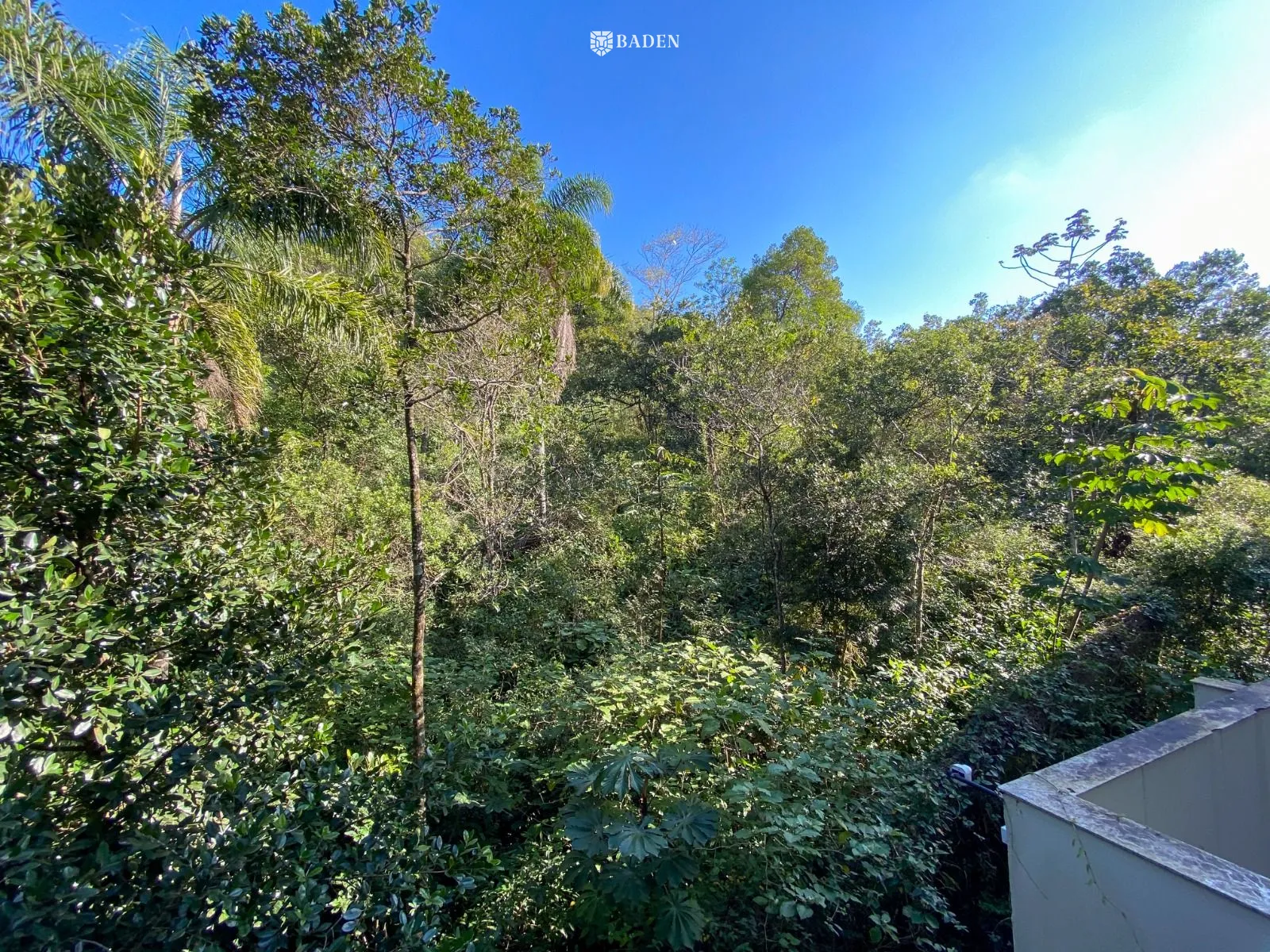 Apartamento, 3 quartos, 80 m² - Foto 11