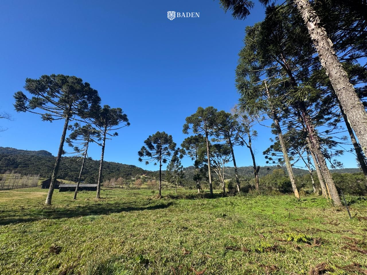 Chácara, 2 hectares - Foto 12