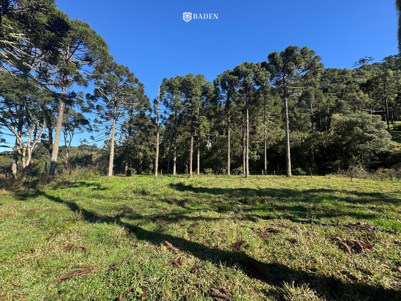 Chácara, 2 hectares - Foto 15
