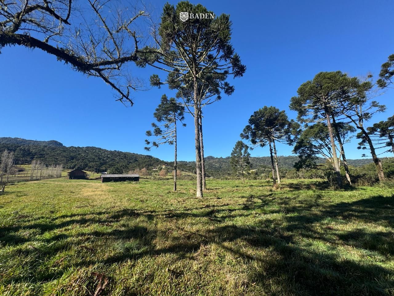 Chácara, 2 hectares - Foto 11
