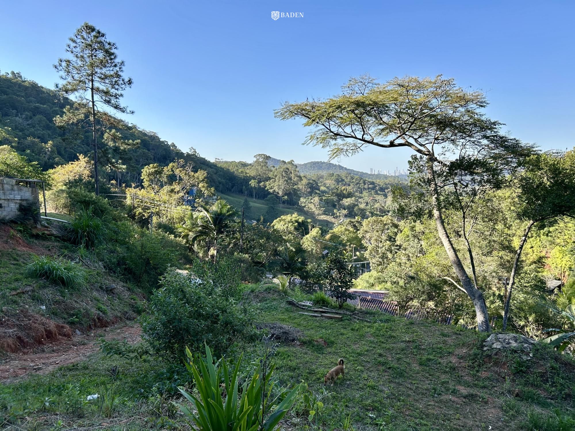 Casa, 2 quartos, 4500 m² - Foto 14