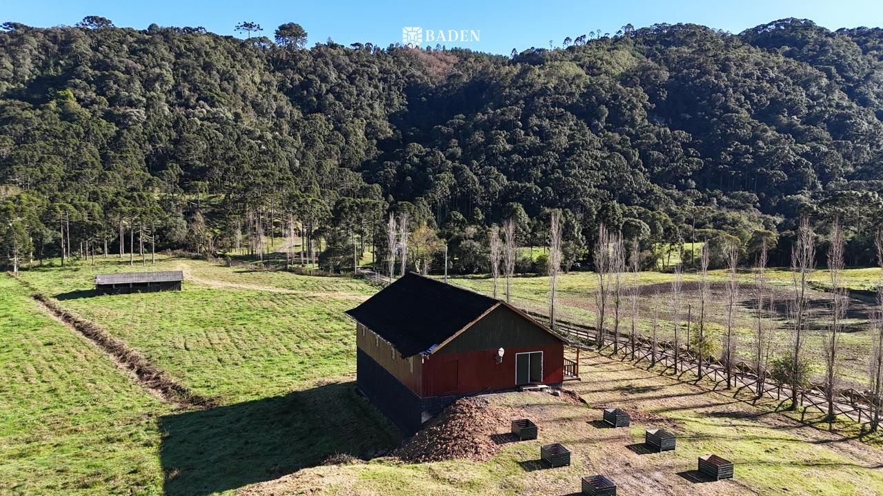 Chácara, 2 hectares - Foto 3