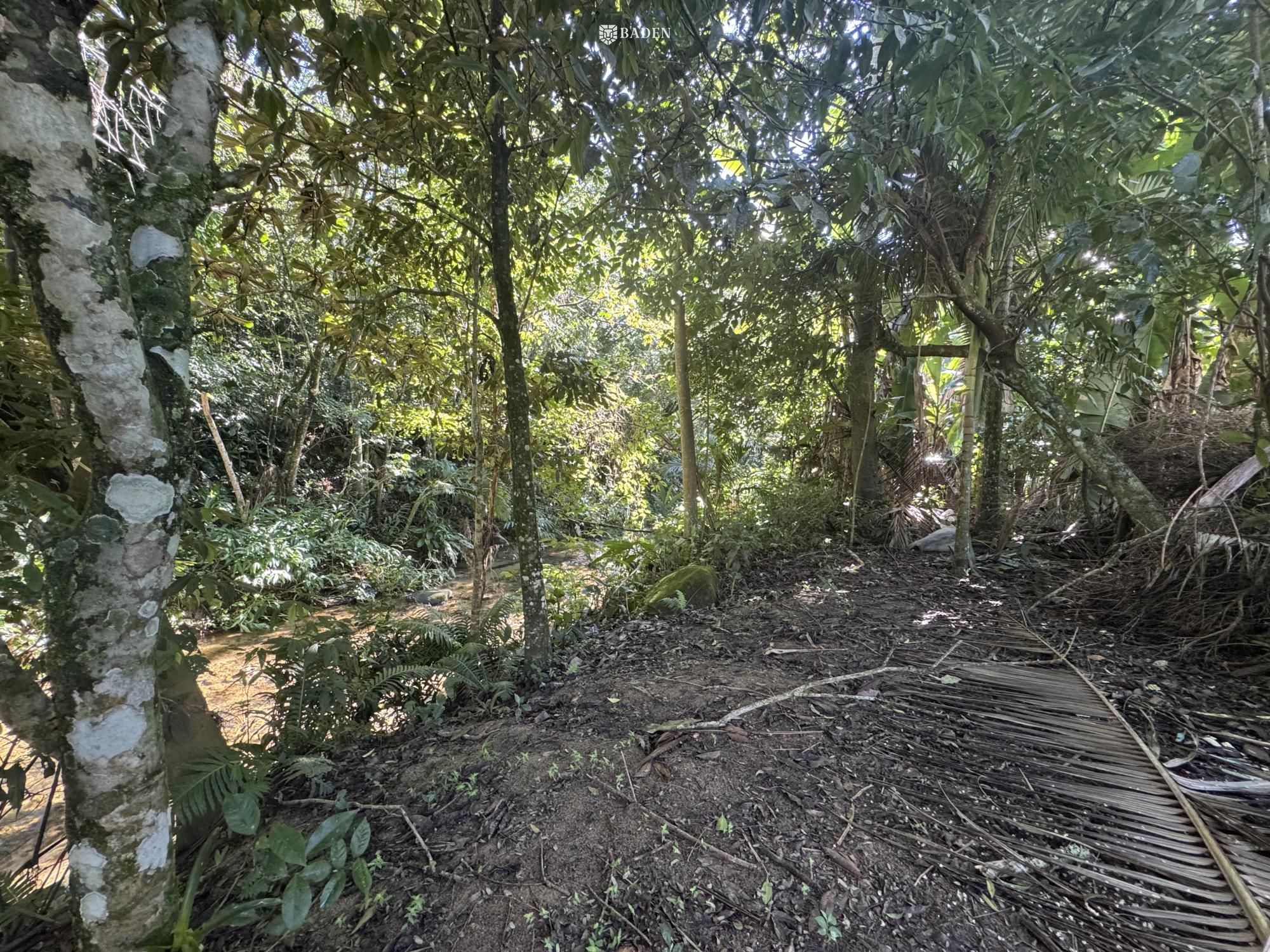 Chácara, 2 quartos, 2500 m² - Foto 32