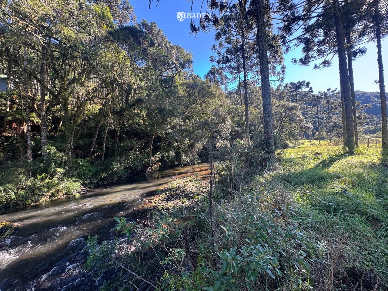Chácara, 2 hectares - Foto 13