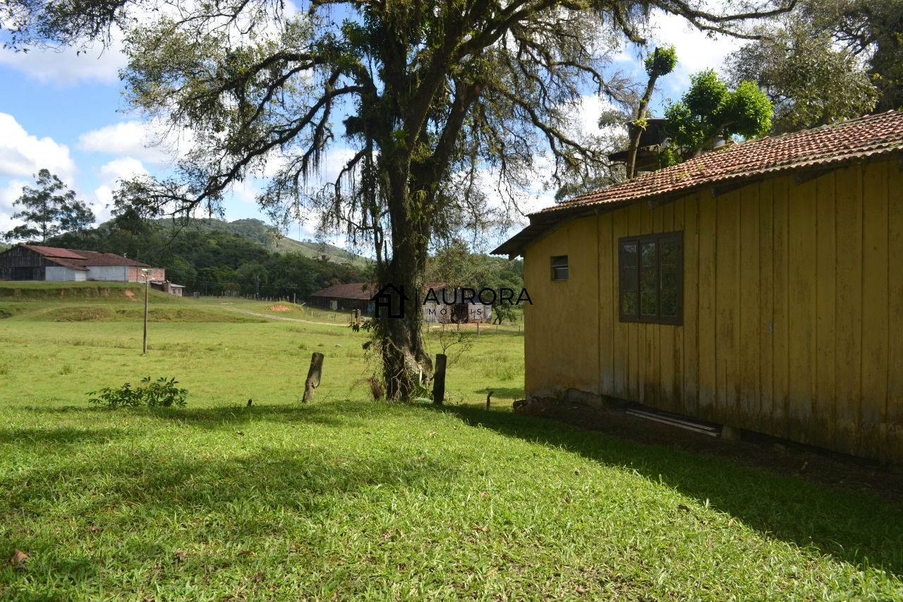 Chácara à venda com 2 quartos, 2450m² - Foto 9