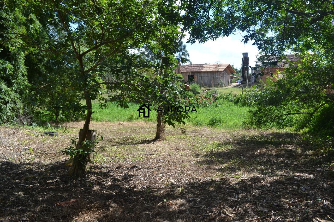 Chácara à venda com 2 quartos, 2450m² - Foto 7