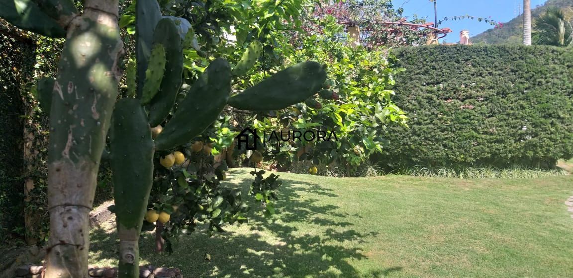 Casa, 4 quartos, 351 m² - Foto 8