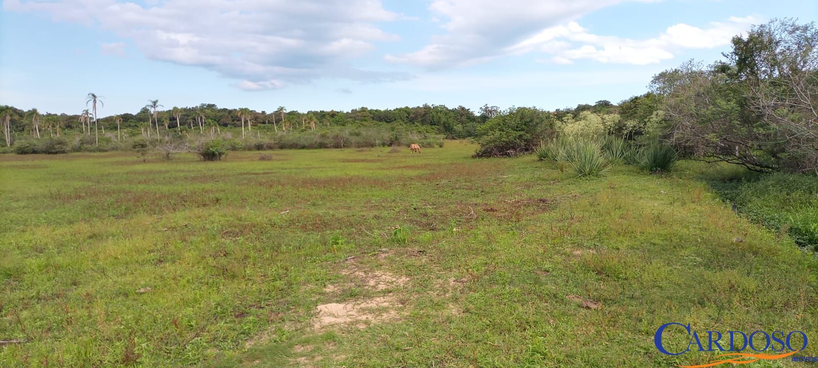 Loteamento e Condomínio à venda, 80m² - Foto 32