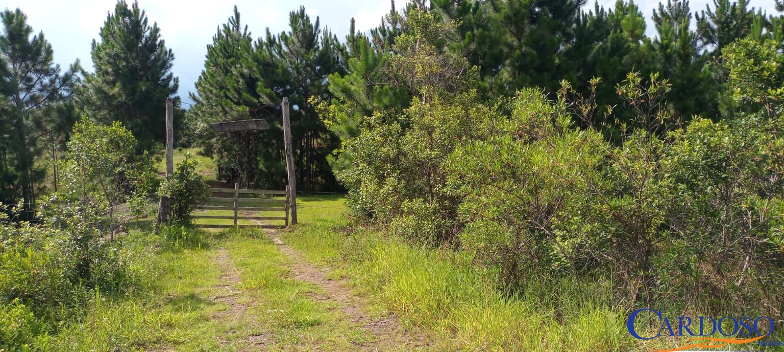 Loteamento e Condomínio à venda, 80m² - Foto 4