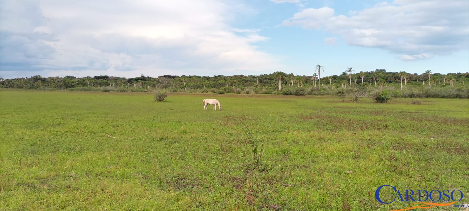 Loteamento e Condomínio à venda, 80m² - Foto 16