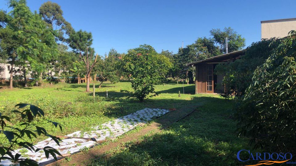 Fazenda à venda com 2 quartos, 80m² - Foto 19