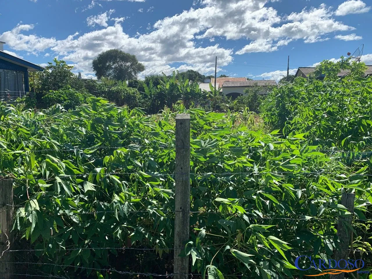 Terreno, 288 m² - Foto 1