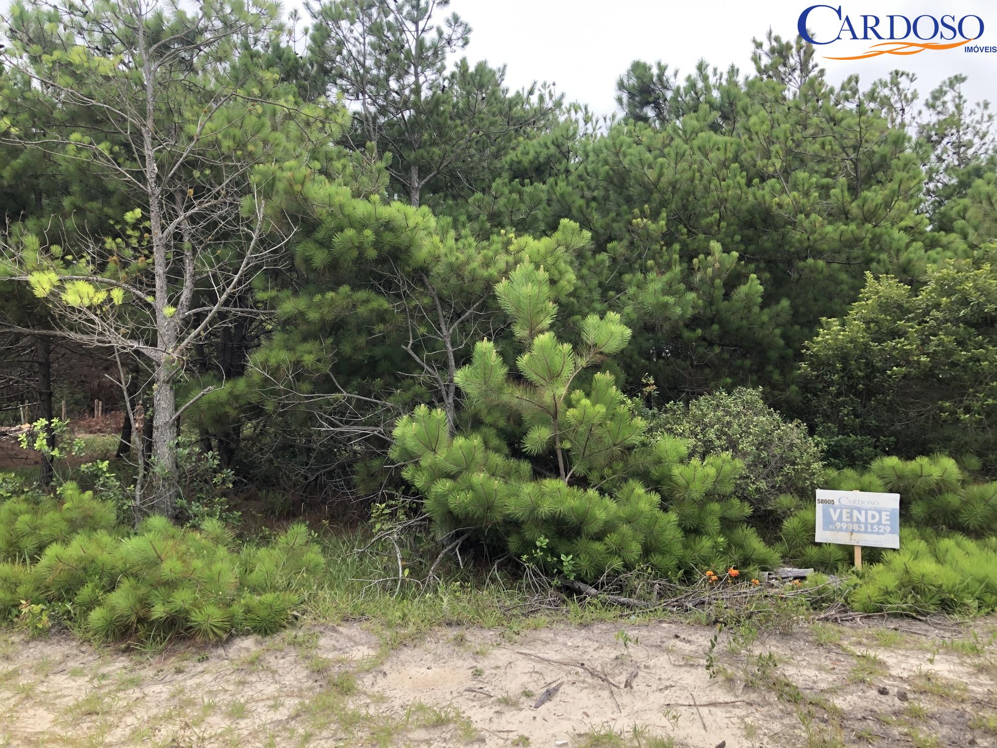 Terreno, 288 m² - Foto 3