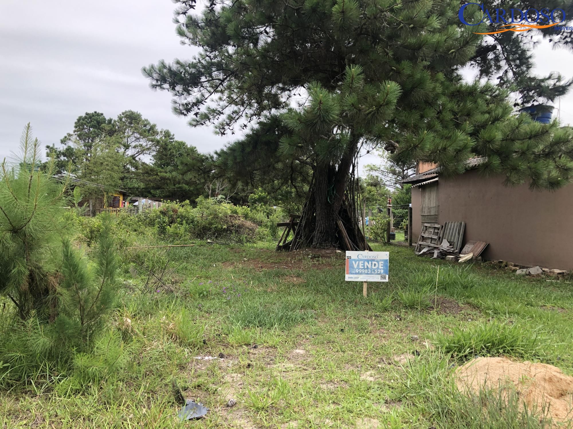 Terreno, 311 m² - Foto 4