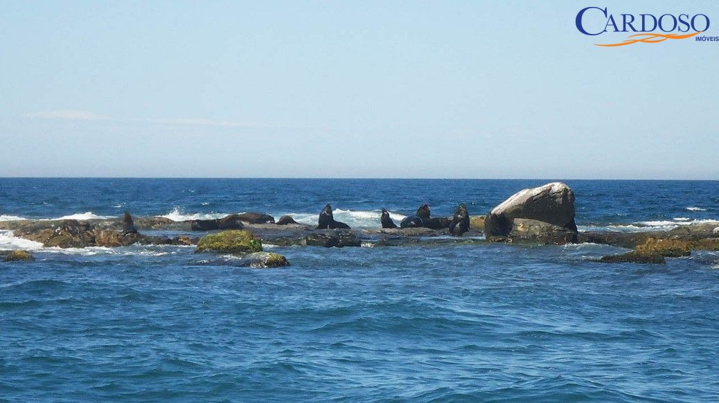 Terreno, 360 m² - Foto 20