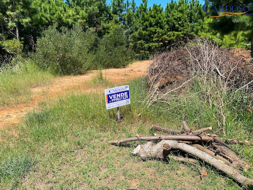 Terreno, 302 m² - Foto 3