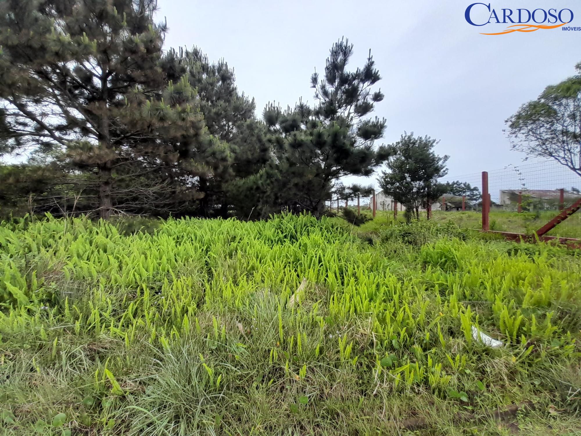 Terreno, 444 m² - Foto 3